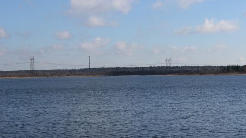 Грушівське гріхопадіння