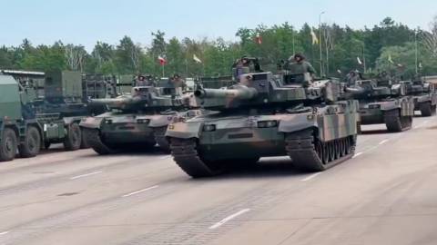 Серпнева мозаїка