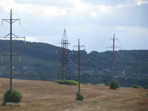 На Львівщині здали в оренду 21 земельну ділянку