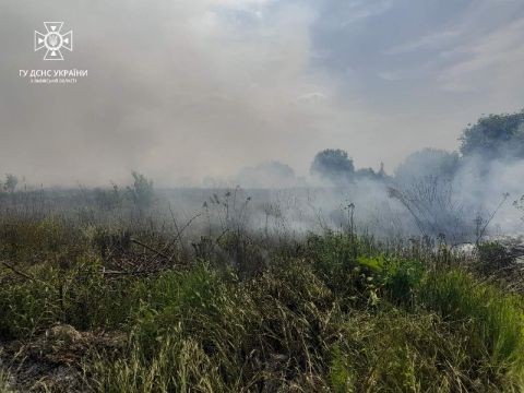 За добу на Львівщині зафіксували дві пожежі сухостою