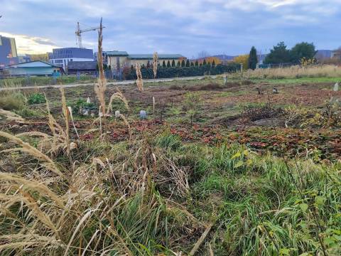 Ділянку під промисловість у Винниках продають за майже три мільйони гривень