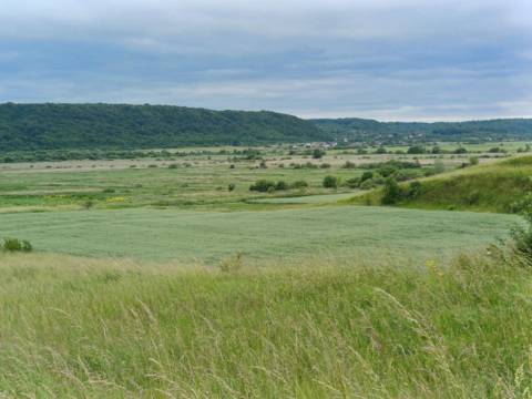 На території Львівської громади аграрії захопили майже 100 гектарів землі