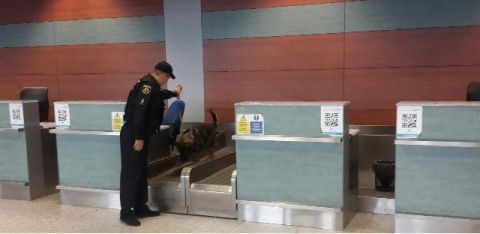 Правоохоронці не виявили вибухівки у аеропорті і готелі у Львові