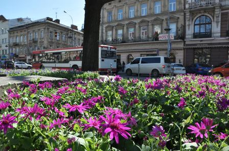 У Львові до Великодня висадили більше 3 тис. квітів