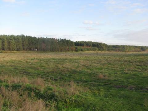 Двох мешканців Дрогобича викрили на махінаціях із землею на майже три мільйони гривень