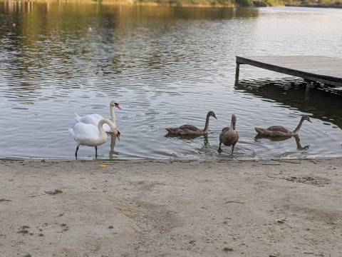 Курс валют у Львові на 18 липня