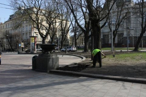 Робота у Львові: шукають двірників