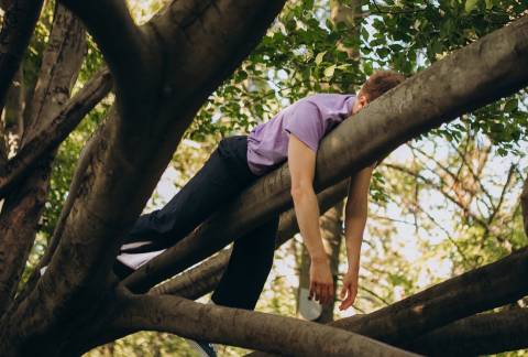 Blooms Corda "Somnambula" (2025)