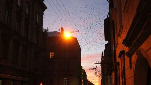 У лютому та березні у Львові, Брюховичах, Винниках не буде світла: перелік вулиць