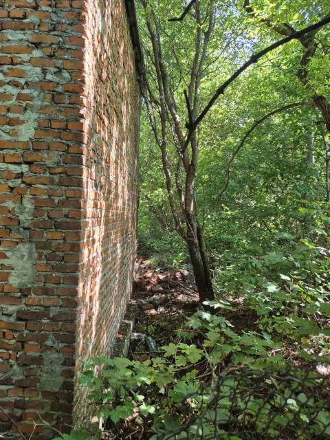Фірма, яка понад 20 років тому звела самобуд на Зеленій, орендуватиме цю ділянку у міста