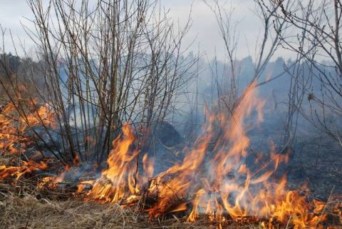 На Львівщині внаслідок спалювання стерні загинула людина