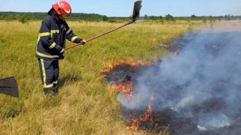 За добу на Львівщині зафіксували дві пожежі сухостою