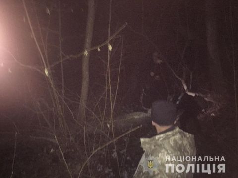 На Сокальщині двоє молодих хлопців вночі зрізали дерева