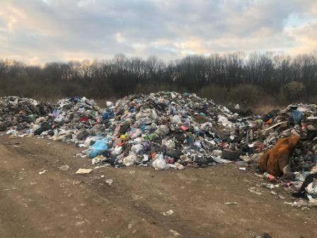 На Городоччині водій вантажівки скинув сміття вздовж місцевої дороги