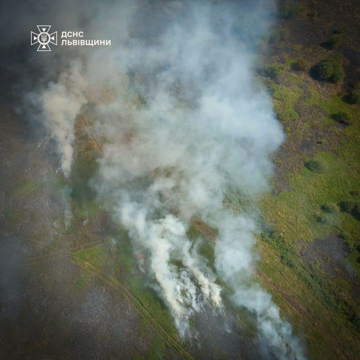 За добу на Львівщині зафіксували шість пожеж сухостою