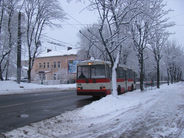 Нові тролейбуси обійшлися Львову у 30 мільйонів