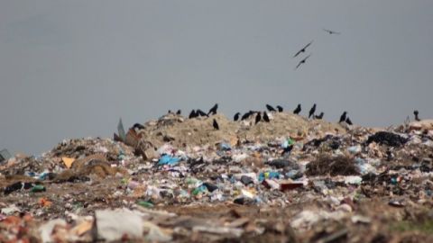 Громадські обговорення щодо сміттєпереробних заводів на Львівщині відбудуться не раніше весни