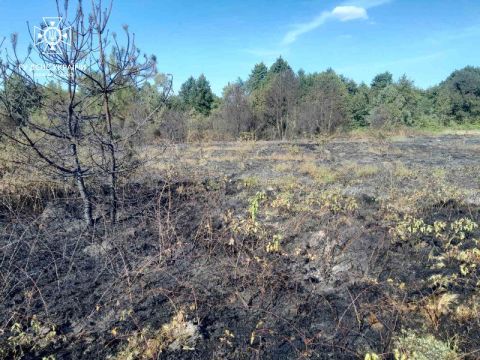 За добу на Львівщині зафіксували дві пожежі сухостою