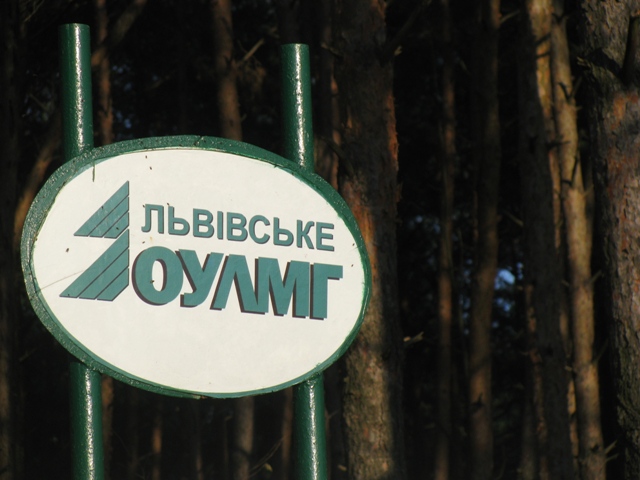Громади Львівщини втратили понад 20 мільйонів податків через реформу лісового господарства