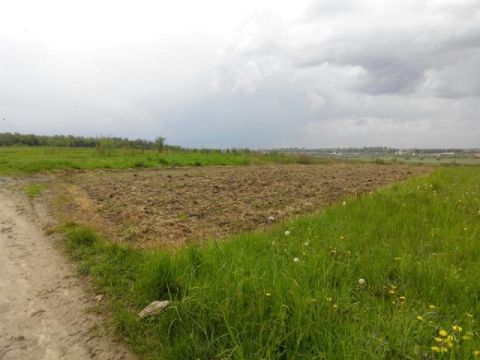 Ціна землі у Кам'янка-Бузькому районі піднялася у 14 разів