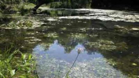 На Львівщині у водоймі загинула людина