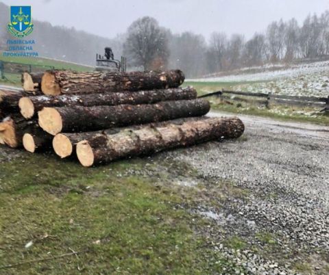 На Яворівщині лісника викрили на хабарі у майже 80 тисяч гривень