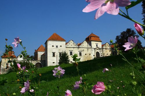 Сало збирається передати Cвірзький замок у концесію