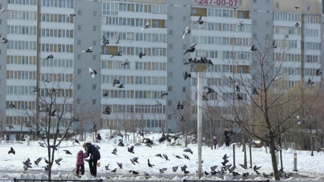 У Львові здали в експлуатацію 351 житловий будинок