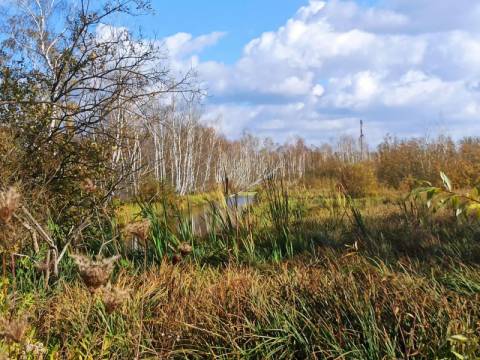 Львів остаточно повернув одну з ділянок заказника Торфовище Білогорща