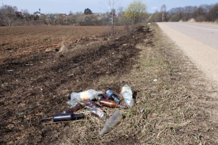 На Львівщині за сміття на узбіччі відповідатимуть посадовці