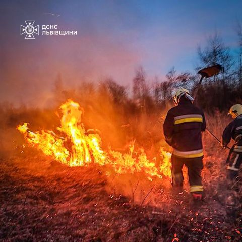 За добу на Львівщині зафіксували десять пожеж сухостою