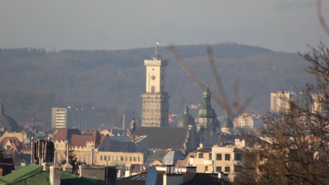 У Львові дерево впало на двох дітей