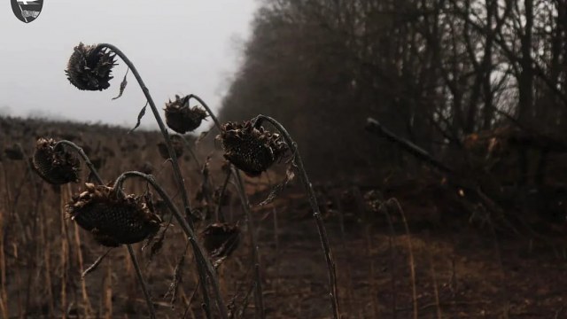 Генштаб ЗСУ оприлюднив втрати росіян на ранок 29 листопада