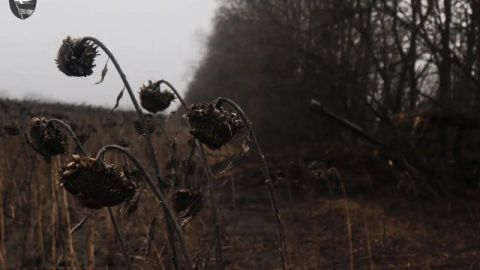 Генштаб ЗСУ оприлюднив втрати росіян на ранок 29 листопада