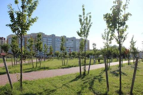 Курс валют у Львові на 10 червня