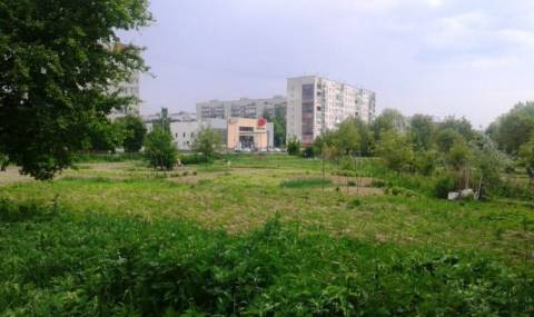 Аудит виявив відсутність встановлених меж Львівської громади: ризик махінацій із землями