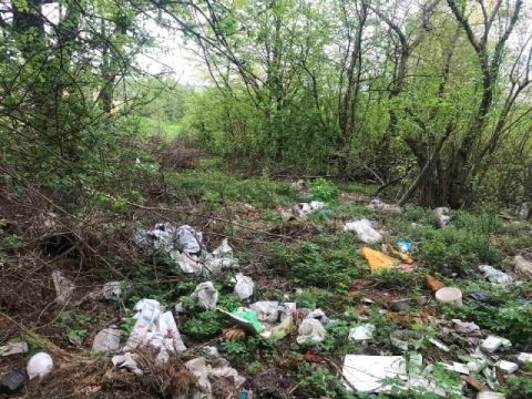 Поблизу Львова виявили понад 30 звалищ сміття і будвідходів