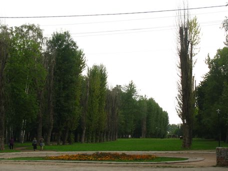 Межі Левандівського парку повернули до старого зразка