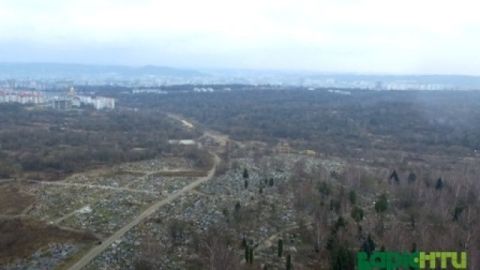 Частину Брюховицького лісу зрубають для розширення Голосківського цвинтаря