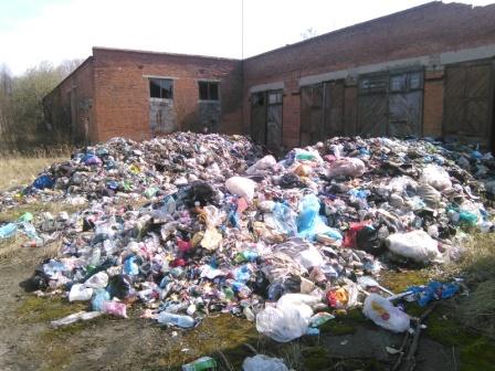 У двох районах Львівщини виявили сім стихійних сміттєзвалищ