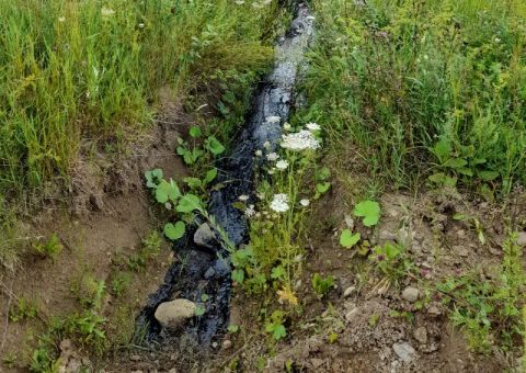 На Сколівщині стався витік нафтопродуктів неподалік сведловини Верхня Стинава