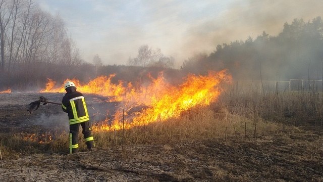 Із початку року у Львові виникло вже понад 60 пожеж сухостою