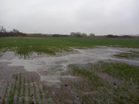 Землю на Пустомитівщині забруднюють стічні води