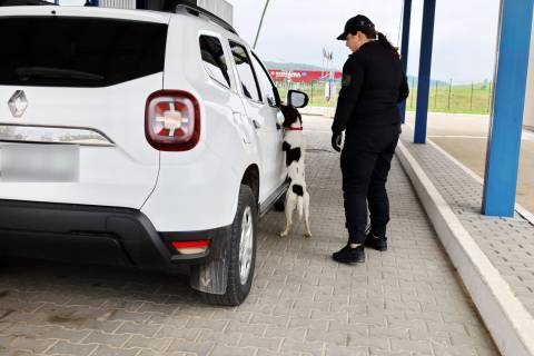 На кордоні з Польщею – черги з 70 авто