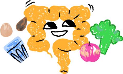 Ентерол для травлення: повний гайд по дії та застосуванню