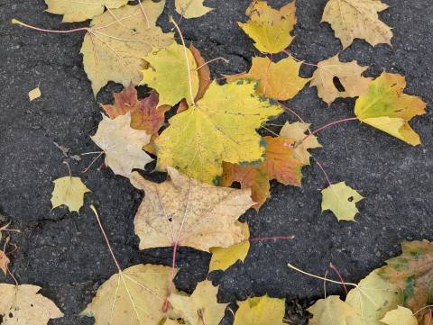 Погода на вихідні: +18-20°C