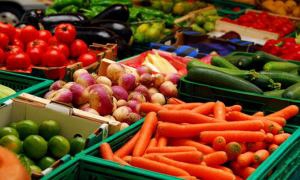 Ярмарок органічної продукції триває у Львові сьогодні