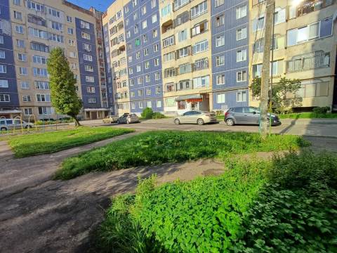 Влада Львова виграла апеляцію щодо уявної автомийки на Сихові