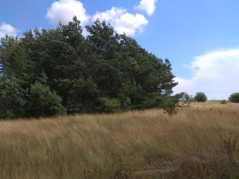 На Львівщині планують створити чотири пам'ятки природи та ландшафтний заказник