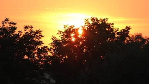 У Львові продовжили карантин до 4 травня